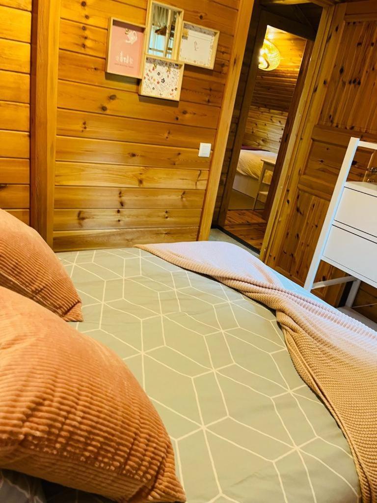 Espectacular Apartamento De Madera Frente Al Rio Ter - Camprodon Bagian luar foto